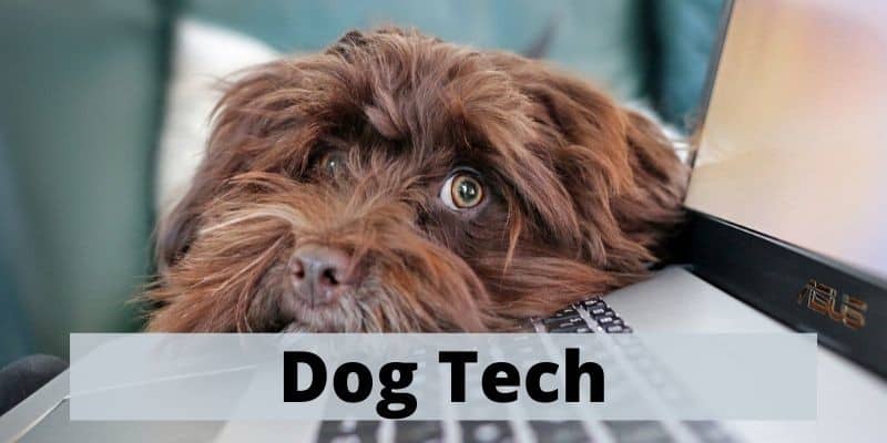 tech for dogs
