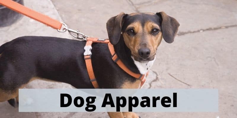 dog leads & apparel